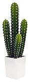 萩原 人工観葉植物 「アスカ」 約55cm 光触媒加工 159016400