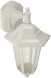 Nuvo 60/988 Arm Down Wall Lantern with Clear Seeded Glass, White [並行輸入品]