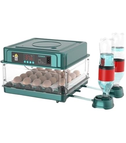 Amazon.co.jp: Moongiantgo 小型自動孵卵器 ふ卵器 自動転卵 鶏卵4個