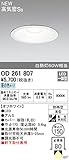 オーデリック　エクステリアライト 【OD 261 807】【OD261807】