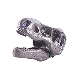 Fenteer 樹脂　水族館　生き生き　飾り　タンク　装飾　工芸品　環境美化　テラリウム　爬虫類　多種類選べ - ティラノサウルススカル