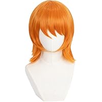Amazon.co.jp: ONE PIECE ワンピース ナミ 2年後 コスプレ ウィッグ
