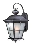 Vaxcel SR53131OR New Haven 9-Inch Outdoor Smart Light, Oil Rubbed Bronze [並行輸入品]