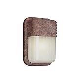 Transglobe Lighting PL-41105 RT Outdoor Bulkhead Fixture with Clear Ribbed Polycarbonate Shade, Rust