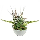 11.5" Artificial Mixed Red and Green Succulent and Fern Plants in a White Crackle Finish Bowl Pot