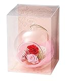 Paseo クリアケース入り プリザーブドフラワー ハンギングフラワー レッド 12×12×H16cm S-18B-RD