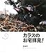 カラスのお宅拝見! カラスのお宅拝見!