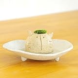 苔盆栽 モスモス モスネコ 白 受け皿セット