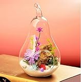 S--LOVE　梨状ガラス ミニチュア ドールハウス 花瓶 テラリウム アクアリウム 容器 水耕栽培