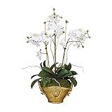 ホワイト胡蝶蘭Orchidフェイク花柄|花Moss Fernプランター