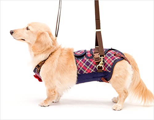 歩行補助ハーネスLaLaWalk小型犬・ダックス用サポーターパッド付き　カーニバル[チェックカーニバル　紺] (S)