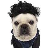 【24HOURS】犬 猫 ハロウィン カツラ パーマ アフロ おもしろグッズ 変装 フレンチブルドッグ ペット服 犬 コスプレ 可愛い 猫服 犬用 面白い コスチューム 小型犬 中型犬 大型犬 変身服 出掛け 撮影道具
