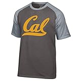 NCAAチャンピオンメンズのマスコット半袖Tシャツ L グレイ