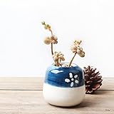 Weryn（TM）色の手塗りの花ポット多肉植物肉質の植物盆栽ミニセラミックガーデンポットDIYのホームデコレーション[A]