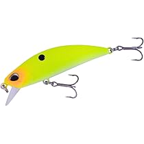 スピアヘッド　リュウキ　10個セット デュオ（DUO） スピアヘッド リュウキ 110S SWリミテッド 110mm
