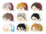 もちもちマスコット ハイキュー!! vol.5 BOX商品
