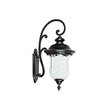 Yosemite Home Decor 4502SDIORB 1 Light Exterior with Clear Water Glass, Oil Rubbed Bronze Finish [並行