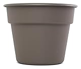 Bloem 6インチデュラテラコッタプランターペッパーコーンDC6-60