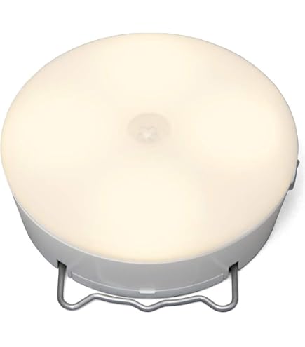 Amazon.co.jp: アイリスオーヤマ LEDセンサーライト 乾電池式 人