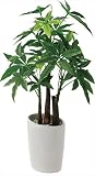 ポピー 観葉植物の造花 ロングパキラオーバルポット 観葉植物の造花 ロングパキラオーバルポット 【1点】