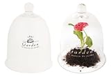 Esschert Design USA AGG24 Plant Covering Cloches, Small, Set of 2 [並行輸入品]