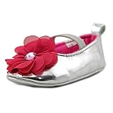 Laura Ashley Infant Ballerina ベビー 米国 2 シルバー バレエシューズ [並行輸入品]