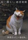 岩合光昭写真集 ねこ輝く