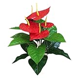 造花　アンスリウム　18本