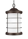 Sea Gull Lighting Sauganash Antique Bronze One-Light Outdoor Pendant [並行輸入品]