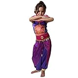 Storybook Wishes Purple Arabian Princess Dress Up Costume Size 4/6 [Floral] [並行輸入品]