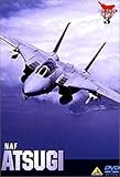 NAF ATSUGI �ݓ��ĊC�R���؍q��{��