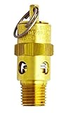 Milton S-1090-70 1/4" MNPT ASME Safety Valve - 70 PSI Pop off Pressure [並行輸入品]