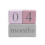 Child to Cherish Baby MonthlyマイルストーンフォトAgeブロック ピンク 2670PK