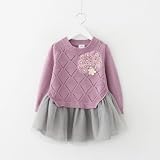 Star Baby 女児は切り替え毛スカート2016秋韓版新型女児冬服子供服レースワンピース/レースのワンピース/かわいい/スカート (120cm, purple)
