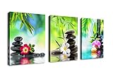 (30cm x 41cm 3P, Zen Art B) - Wall Art Canvas Zen Art Decor SPA Stone Green Bamboo Pink Waterlily an