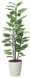 tree-h/ 造花 光触媒 観葉植物 フレッシュ・ポトス 180cm