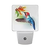 naanleカラフルBee Hummingbird Feeding NectarからHamelia花ホワイトオートセンサーLED Dusk to Dawnナイトライトプラグinインドアfor Adul