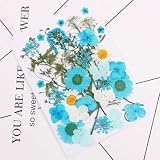 Flower raisin 押し花 押し花セット かわいい押し花でオリジナルハンドメイド！ (Blue set)