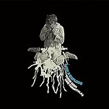 These Seem Like Tarantulas