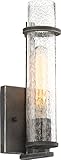 Nuvo照明60 / 6381 Donziシングルライト4 – 1 / 2 "ワイドバスルームSconce Seedy、 60/6381