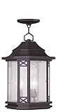 Livex Lighting 2315-07 Tahoe 3-Light Outdoor Chain Hang, Bronze [並行輸入品]