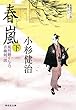 春嵐 (下)風烈廻り与力・青柳剣一郎 (祥伝社文庫)