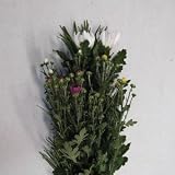 花木屋 高野槇の仏花 花束 60㎝程度 輪菊 色 白白 生花 仏壇 墓参り お供え 花
