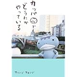 カッパでもどうにかやっている