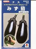 ナス　　みず茄　タキイ交配タキイの水ナス種です　　　（グリーンデポ）