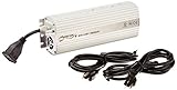 Quantum QT600 Quantum Dimmable Ballast, 600W [並行輸入品]