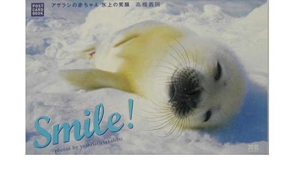 Smile アザラシの赤ちゃん カード Postcard Book 義照 高橋 本 通販 Amazon