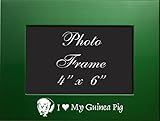 4x6 Brushed Metal Picture Frame-I love my Guinea Pig-Green by LXG, Inc.