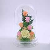 アートフォーシーズン ローズアイ (３．パステルアイ　ブルー発光)”光るバラ”　ホタル プリザーブドフラワー