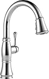 Delta Faucet 9197-DST Cassidy, Single Handle Pull Down Kitchen Faucet, Chrome [並行輸入品]